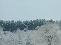 View from SHS Library Window